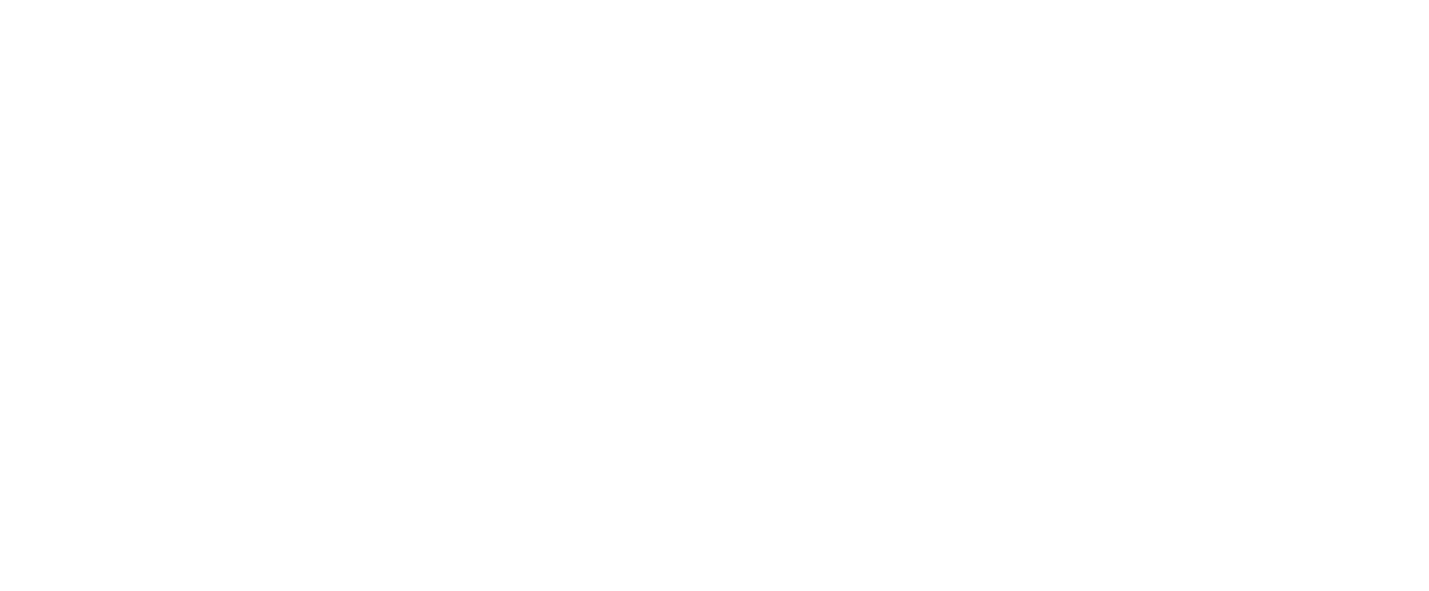 Logo de Shyshinnyboy