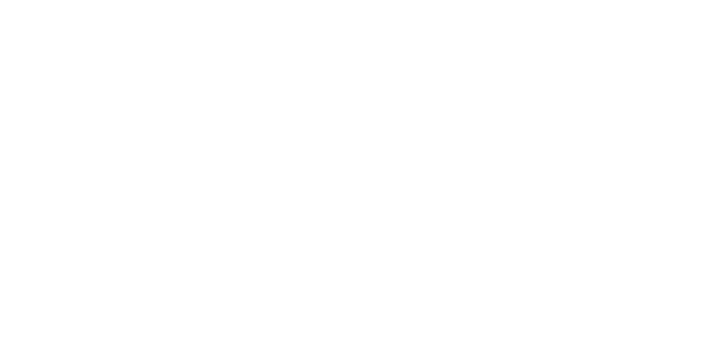 Logo de Shyshinnyboy